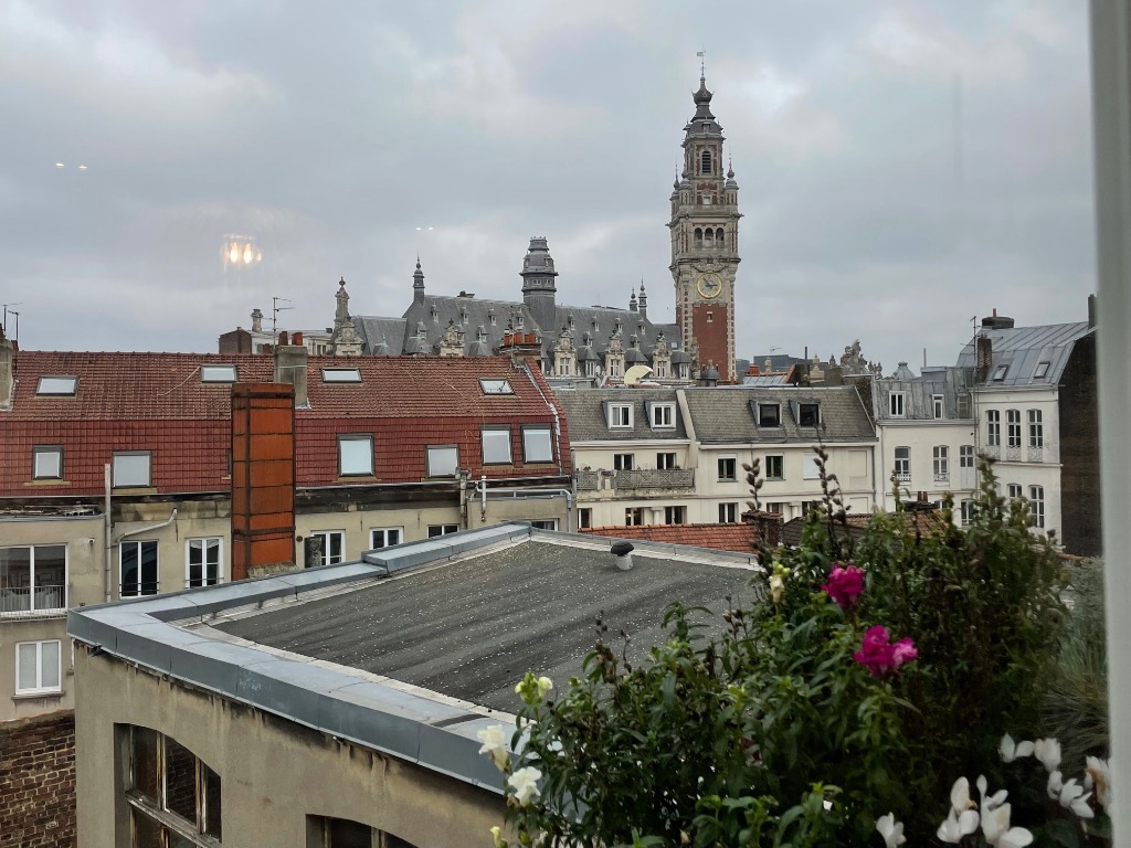 Magnifique appartement sur les toits du Vieux Lille