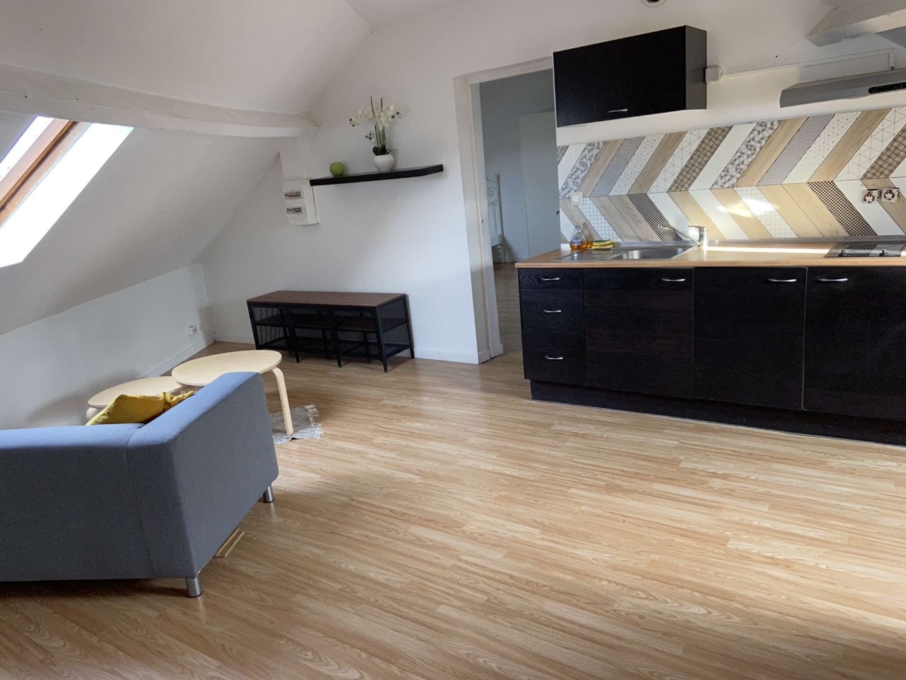 Vente appartement 59155 Faches thumesnil