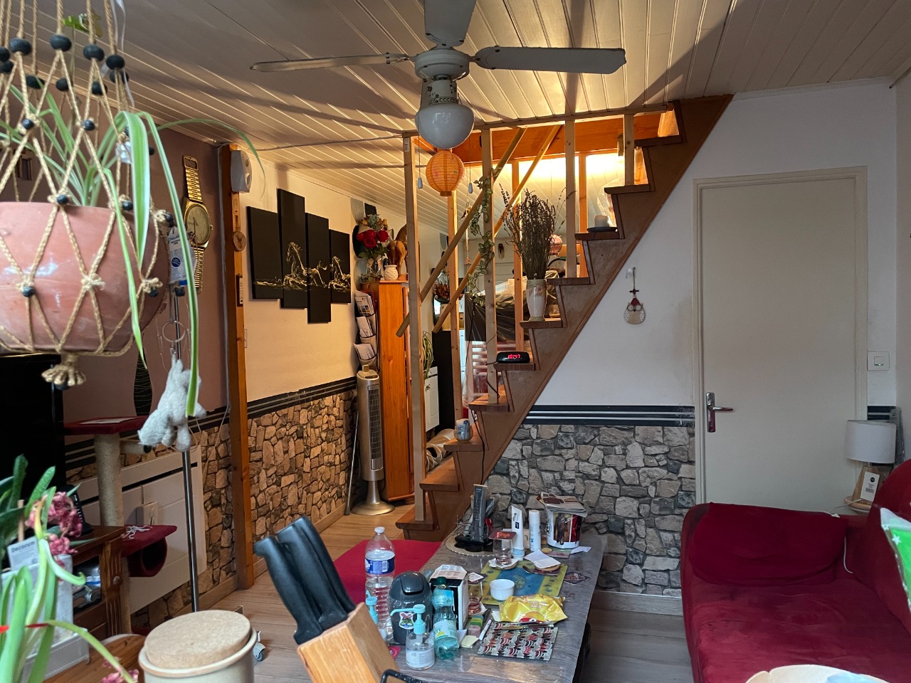 Maison 1930 avec extérieur 