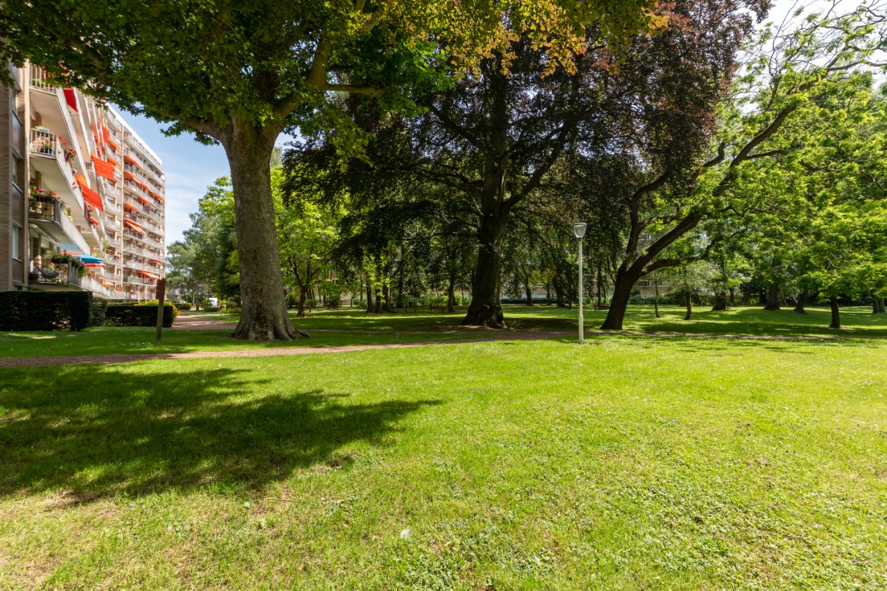 Vente appartement 59160 Lomme