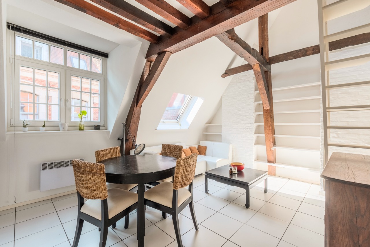 Vente appartement 59000 Lille - Bel appartement T2 bis 55m2