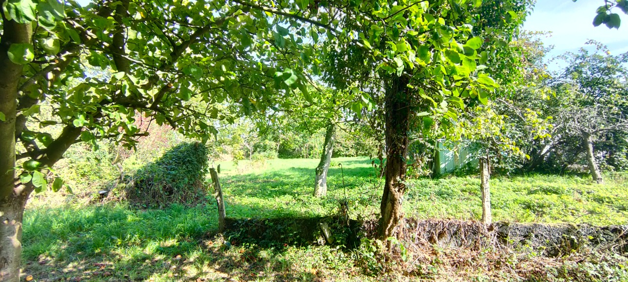 Opportunité Exceptionnelle ! Terrain à Bâtir de 2151 m²