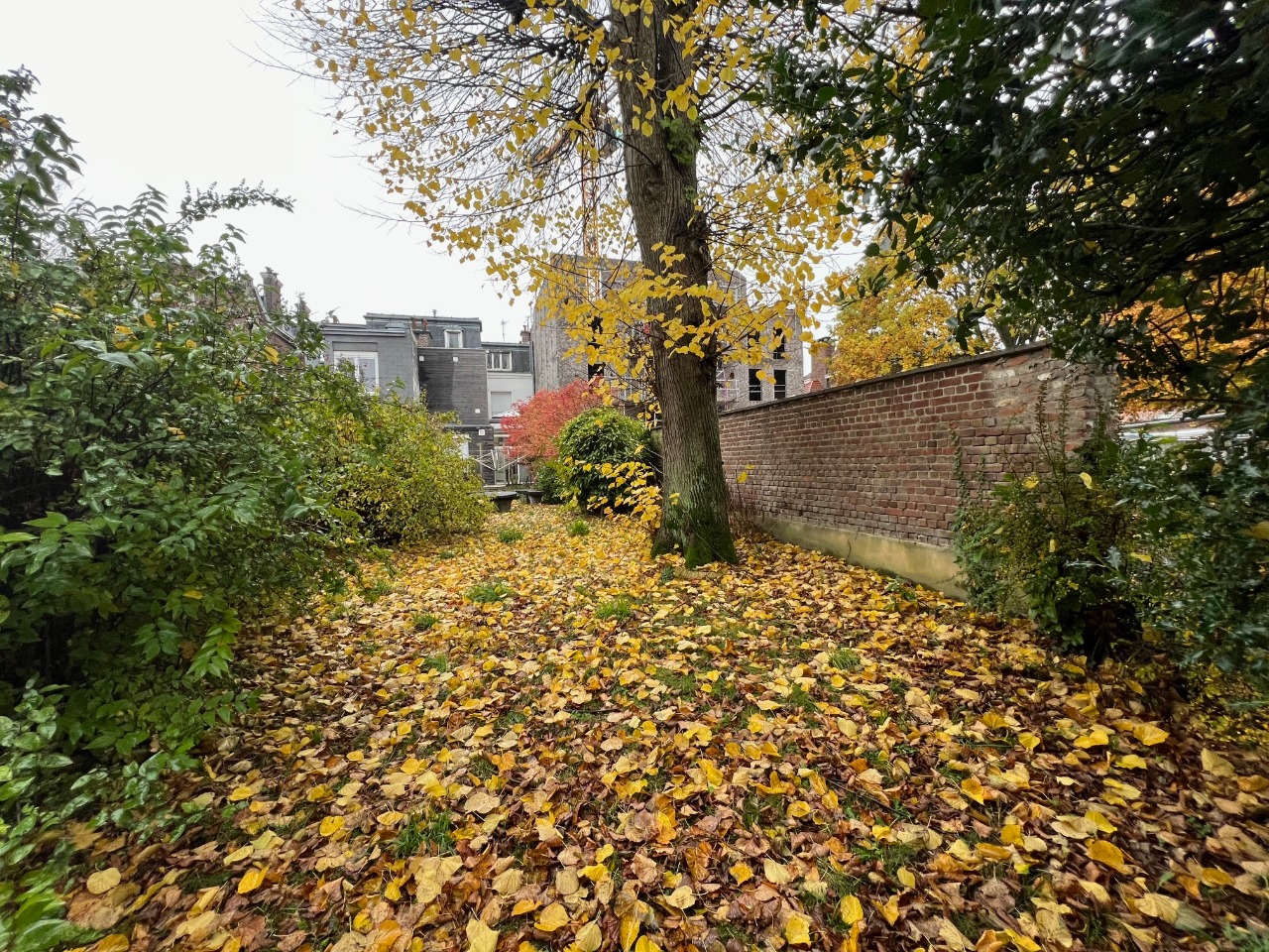 Rez-de-jardin Marcq en Baroeul