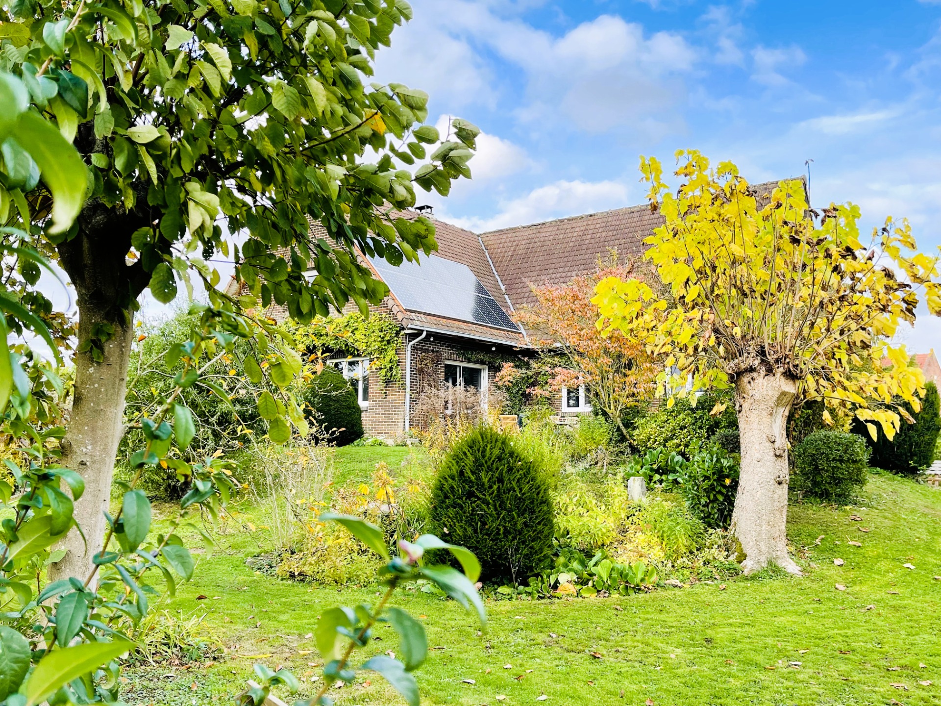 Maison de charme semi-plain-pieds avec sous-sol VAUDRICOURT 62131, prix 462 000 € (HAI) - Brique Rouge Immobilier — 12