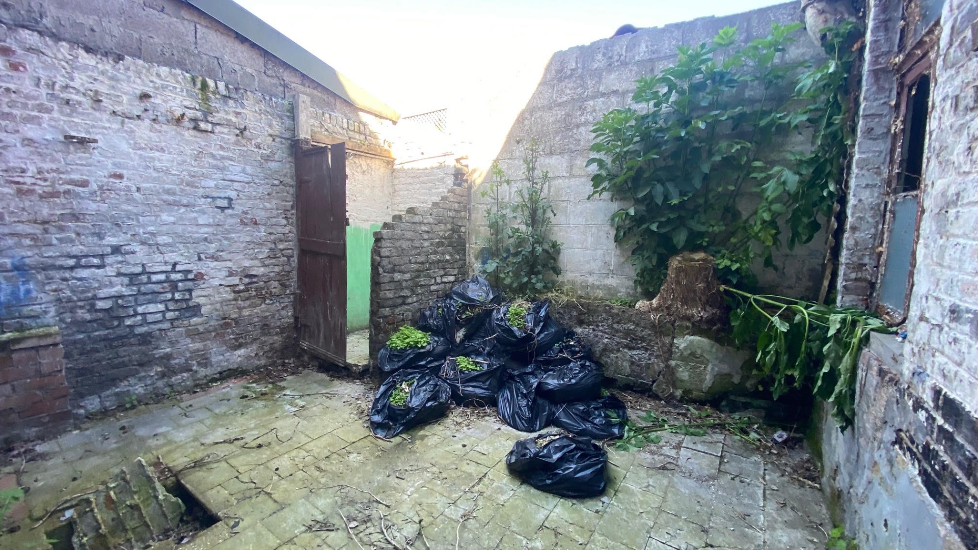 maison a rénover avec cour SAINGHIN EN WEPPES 59184, prix 54 500 € (HAI) - Brique Rouge Immobilier — 4