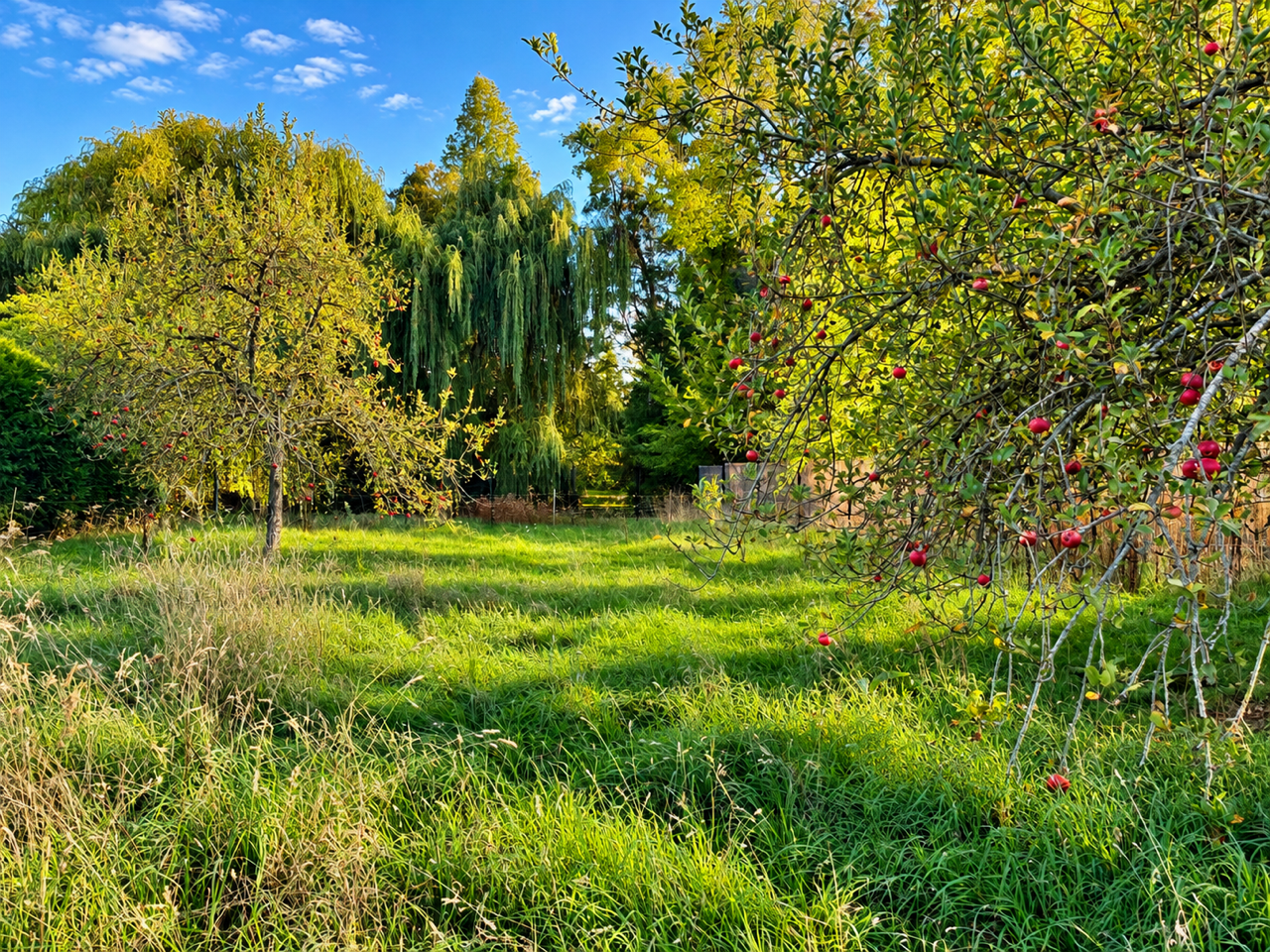 Terrain 1490 m² · à Faumont · 160 000 €